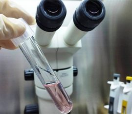 什么是短方案，周期多久？